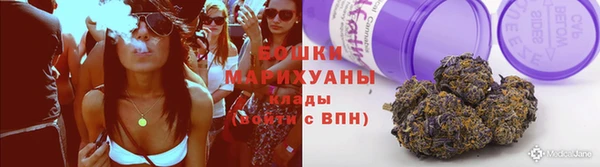 2c-b Гусев