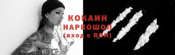 2c-b Гусев