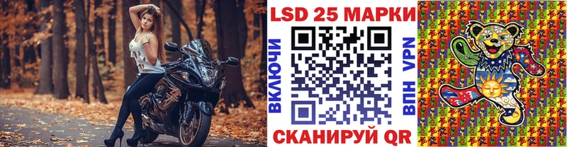 shop Telegram  сколько стоит  Губаха  Марки N-bome 1,5мг 