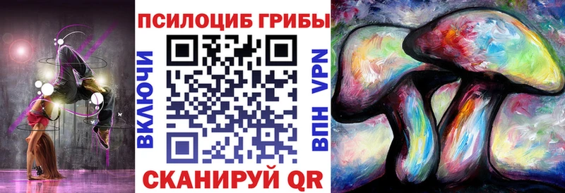 сколько стоит  Губаха  Псилоцибиновые грибы GOLDEN TEACHER 